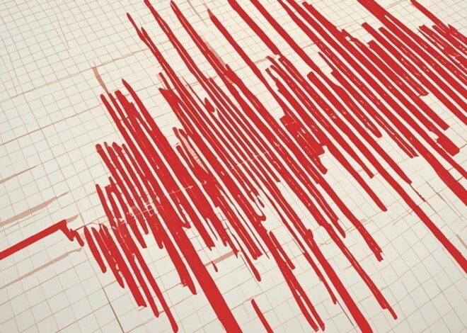 AFAD Duyurdu: Muğla’da deprem oldu